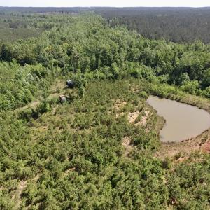 Photo #14 of SOLD property in Doswell Town Road, Meherrin, VA 55.7 acres