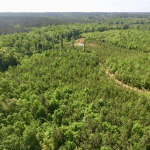Photo #15 of SOLD property in Doswell Town Road, Meherrin, VA 55.7 acres