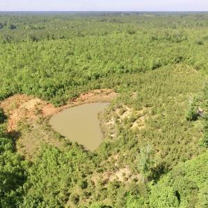 Photo #16 of SOLD property in Doswell Town Road, Meherrin, VA 55.7 acres