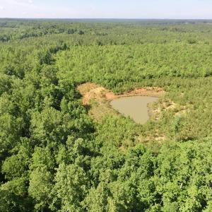 Photo #17 of SOLD property in Doswell Town Road, Meherrin, VA 55.7 acres