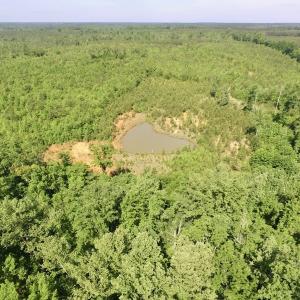 Photo #19 of SOLD property in Doswell Town Road, Meherrin, VA 55.7 acres
