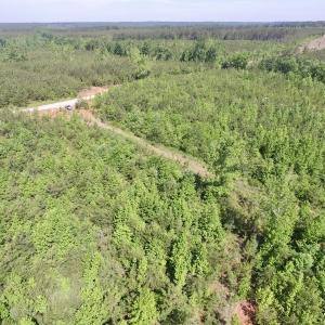 Photo #22 of SOLD property in Doswell Town Road, Meherrin, VA 55.7 acres