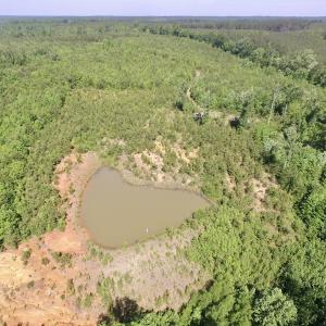Photo #24 of SOLD property in Doswell Town Road, Meherrin, VA 55.7 acres