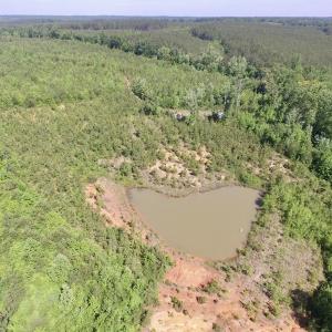 Photo #26 of SOLD property in Doswell Town Road, Meherrin, VA 55.7 acres