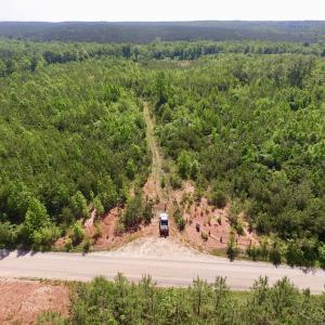 Photo #28 of SOLD property in Doswell Town Road, Meherrin, VA 55.7 acres