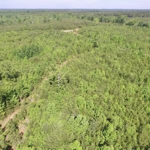 Photo #29 of SOLD property in Doswell Town Road, Meherrin, VA 55.7 acres