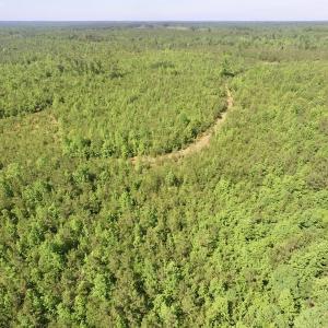 Photo #31 of SOLD property in Doswell Town Road, Meherrin, VA 55.7 acres