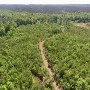 Photo #32 of SOLD property in Doswell Town Road, Meherrin, VA 55.7 acres