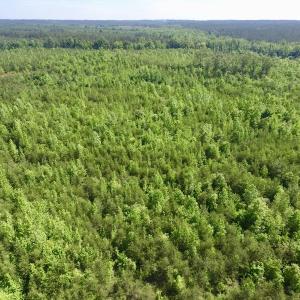 Photo #33 of SOLD property in Doswell Town Road, Meherrin, VA 55.7 acres