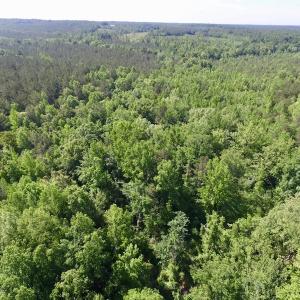 Photo #34 of SOLD property in Doswell Town Road, Meherrin, VA 55.7 acres