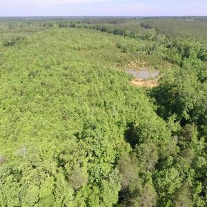 Photo #35 of SOLD property in Doswell Town Road, Meherrin, VA 55.7 acres