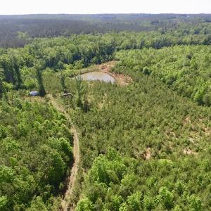 Photo #36 of SOLD property in Doswell Town Road, Meherrin, VA 55.7 acres
