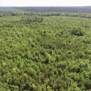 Photo #37 of SOLD property in Doswell Town Road, Meherrin, VA 55.7 acres