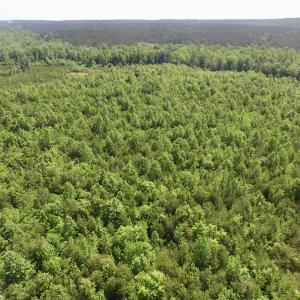 Photo #38 of SOLD property in Doswell Town Road, Meherrin, VA 55.7 acres