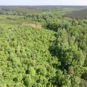 Photo #39 of SOLD property in Doswell Town Road, Meherrin, VA 55.7 acres