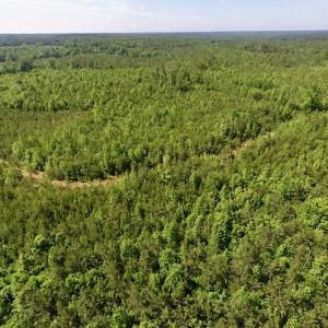 Photo #43 of SOLD property in Doswell Town Road, Meherrin, VA 55.7 acres