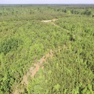 Photo #44 of SOLD property in Doswell Town Road, Meherrin, VA 55.7 acres