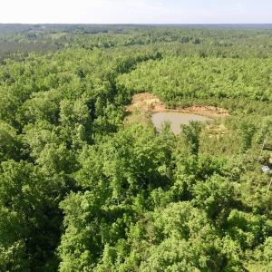 Photo #45 of SOLD property in Doswell Town Road, Meherrin, VA 55.7 acres