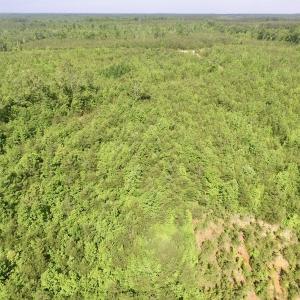 Photo #46 of SOLD property in Doswell Town Road, Meherrin, VA 55.7 acres