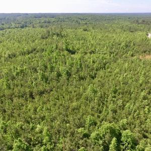 Photo #47 of SOLD property in Doswell Town Road, Meherrin, VA 55.7 acres