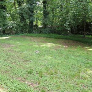 Photo #10 of SOLD property in 5013 Cindy Drive, Raleigh, NC 0.4 acres