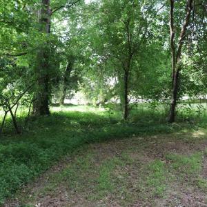 Photo #11 of SOLD property in 5013 Cindy Drive, Raleigh, NC 0.4 acres