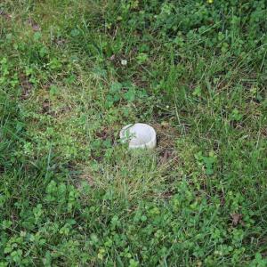 Photo #12 of SOLD property in 5013 Cindy Drive, Raleigh, NC 0.4 acres