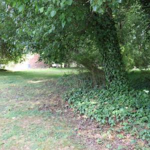 Photo #4 of SOLD property in 5013 Cindy Drive, Raleigh, NC 0.4 acres