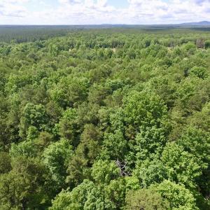 Photo #11 of SOLD property in Off Warminster Church Rd, Buckingham, VA 49.5 acres