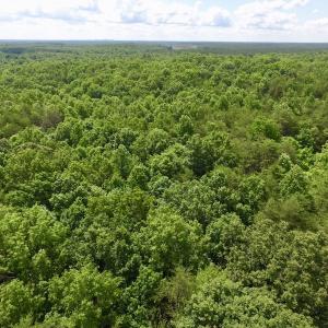 Photo #12 of SOLD property in Off Warminster Church Rd, Buckingham, VA 49.5 acres