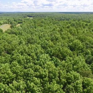 Photo #14 of SOLD property in Off Warminster Church Rd, Buckingham, VA 49.5 acres