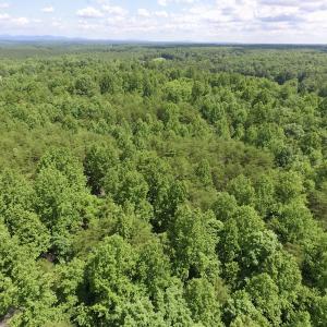 Photo #16 of SOLD property in Off Warminster Church Rd, Buckingham, VA 49.5 acres