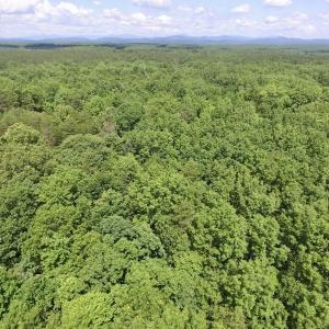 Photo #18 of SOLD property in Off Warminster Church Rd, Buckingham, VA 49.5 acres