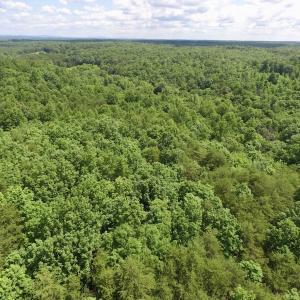 Photo #19 of SOLD property in Off Warminster Church Rd, Buckingham, VA 49.5 acres