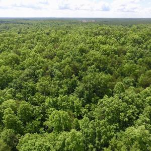 Photo #21 of SOLD property in Off Warminster Church Rd, Buckingham, VA 49.5 acres