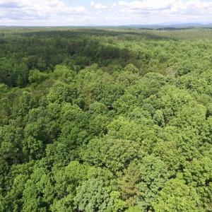 Photo #22 of SOLD property in Off Warminster Church Rd, Buckingham, VA 49.5 acres