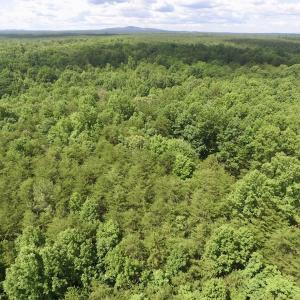 Photo #23 of SOLD property in Off Warminster Church Rd, Buckingham, VA 49.5 acres