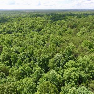 Photo #24 of SOLD property in Off Warminster Church Rd, Buckingham, VA 49.5 acres