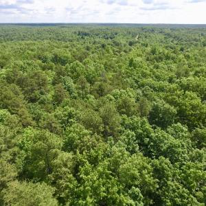 Photo #25 of SOLD property in Off Warminster Church Rd, Buckingham, VA 49.5 acres