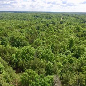 Photo #26 of SOLD property in Off Warminster Church Rd, Buckingham, VA 49.5 acres
