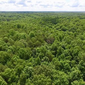Photo #27 of SOLD property in Off Warminster Church Rd, Buckingham, VA 49.5 acres