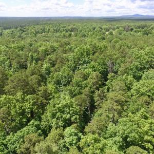 Photo #29 of SOLD property in Off Warminster Church Rd, Buckingham, VA 49.5 acres