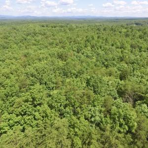 Photo #30 of SOLD property in Off Warminster Church Rd, Buckingham, VA 49.5 acres