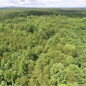 Photo #31 of SOLD property in Off Warminster Church Rd, Buckingham, VA 49.5 acres
