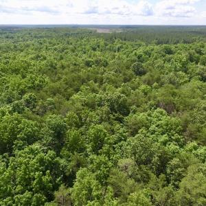 Photo #32 of SOLD property in Off Warminster Church Rd, Buckingham, VA 49.5 acres