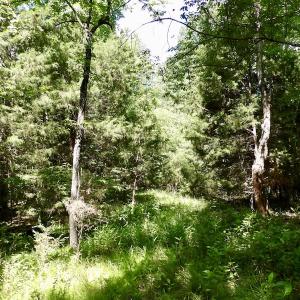 Photo #40 of SOLD property in Off Warminster Church Rd, Buckingham, VA 49.5 acres