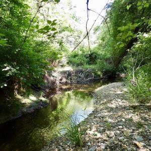Photo #48 of SOLD property in Off Warminster Church Rd, Buckingham, VA 49.5 acres