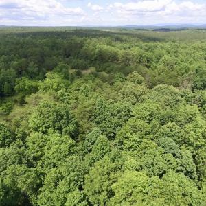 Photo #5 of SOLD property in Off Warminster Church Rd, Buckingham, VA 49.5 acres