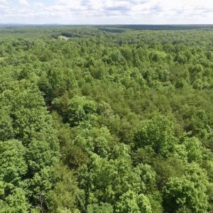 Photo #6 of SOLD property in Off Warminster Church Rd, Buckingham, VA 49.5 acres