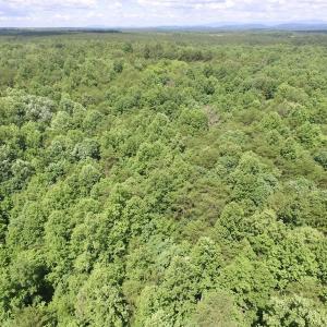 Photo #7 of SOLD property in Off Warminster Church Rd, Buckingham, VA 49.5 acres